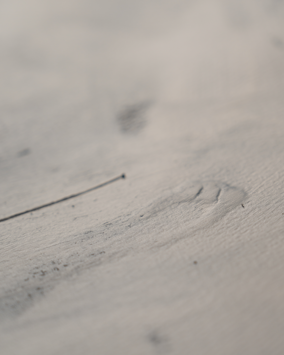 James (Son of Alphaeus)